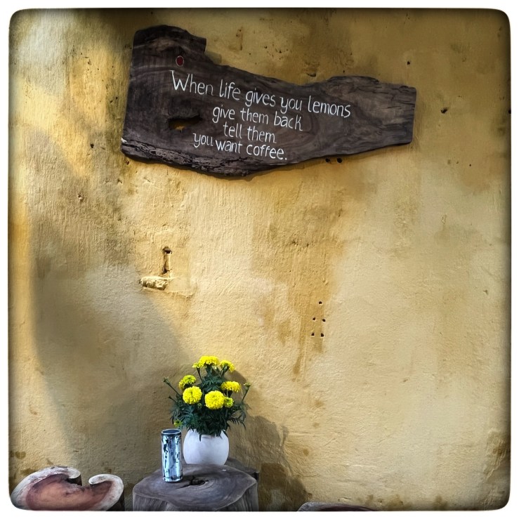 Not to miss Vietnam’s&nbsp;Dish