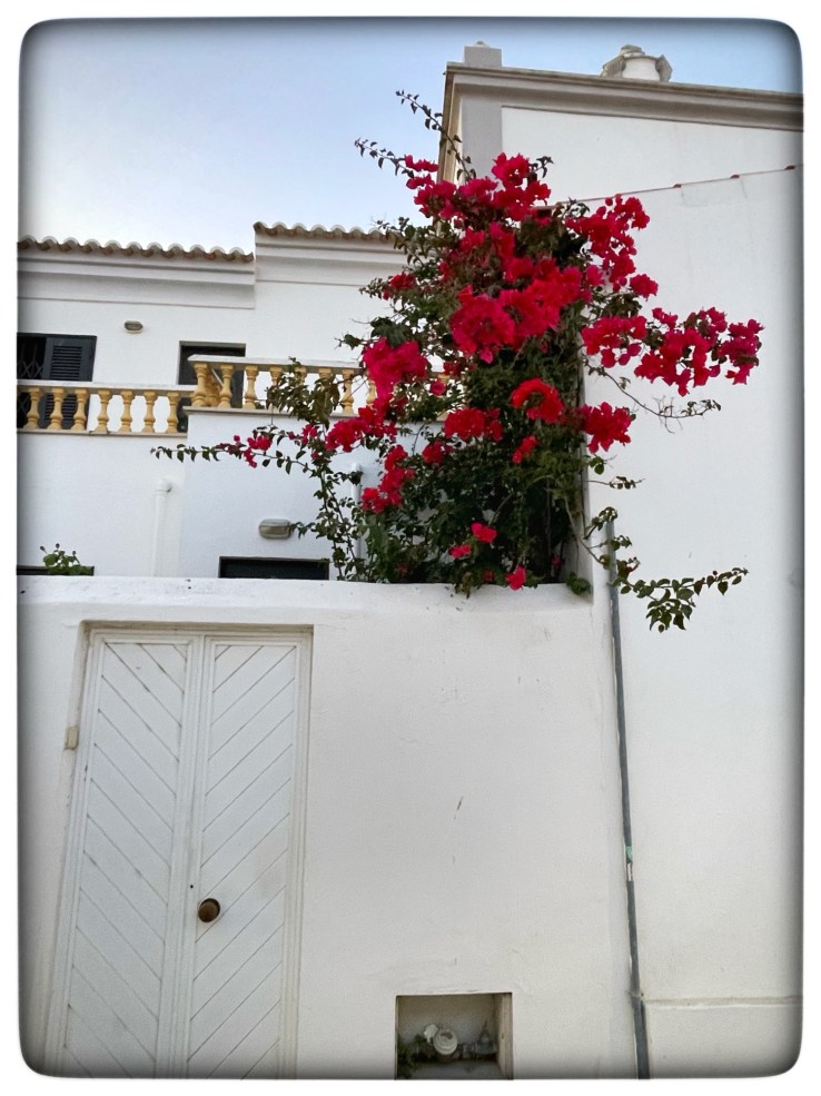 Exploring Albufeira: A Travel Guide